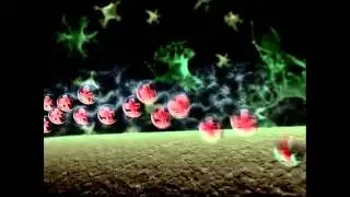 Neurotransmitter Synapse 3D Animation mp4