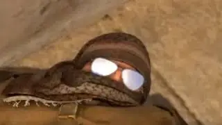 0-0