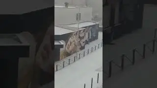 الثلوج سنة 2022