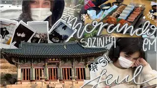 morando sozinha na coreia #5 // provas finais e muita neve