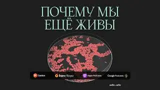 Бей-беги-замри: как адреналин спасает жизни | Подкаст Почему мы ещё живы
