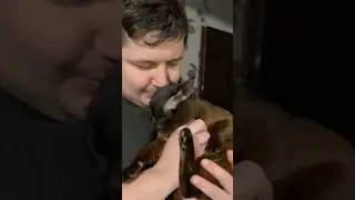 Серия прыжков от чоко 