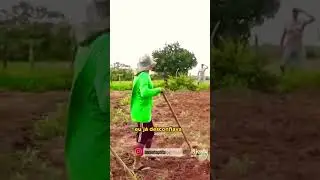 vídeo da Serraria humorista da Serraria kkk seu mané mais perto do da turma da Serraria