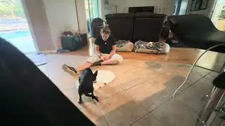 Teaching puppy place