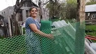Делаем загон для цыплят. И встретили ночного гостя!