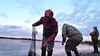 САДОК ТРЕЩИТ от РЫБЫ | Бешеный клёв РЫБЫ на ЭТУ СНАСТЬ