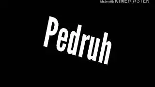 Intro Para Pedruh PG