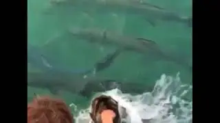 Приколы. Страшно остаться без рук.