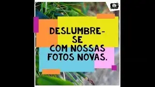 Deslumbre-se com nossas fotos novas.
