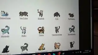 A few years in the SunsetClan (It is a different clan from other SunsetClans)