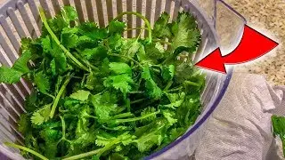 Cómo Conservar El Cilantro y Otras Hierbas Por Más Tiempo!