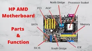 Motherboard parts and their function I HP AMD Board