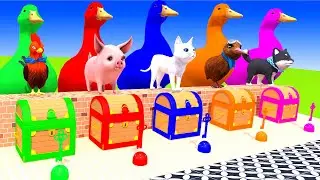 5 Giant Duck, Chicken, Elephant, Ferdinand, Gorilla, Lion, Transfiguration funny animal 2023