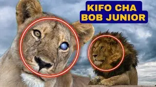 VIDEO:MFAHAMU SIMBA BOB JUNIOR ALIYE UWAWA NA KISA CHA KUWA MAARUFU DUNIANI!!