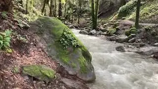 Sanborn Creek