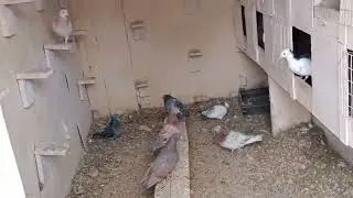 И снова потери! Грустно.