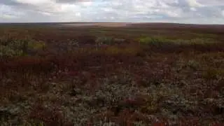 Там на самом на краю земли. Пикник