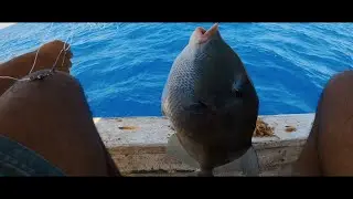 صيد جديد لمبوكه و حلوف