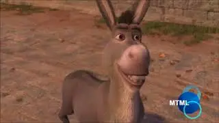 la insensatéz del burro