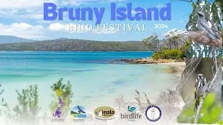 BRUNY ISLAND BIRD FESTIVAL 2024 - PART 3/4