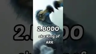 Top 5 best non fantasy birds in Ark  #shorts #ark