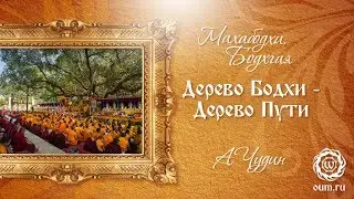 Дерево Бодхи - Дерево Пути. Антон Чудин
