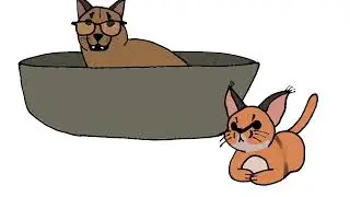пельмени