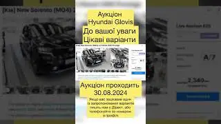 Підбірка цікавих варіантів з аукціонів Південної Кореї 30.08.2024
