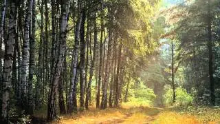 Tchaikovsky - Chanson Triste - Sad Song 아코디언 연주