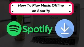 How To Play Music Offline on Spotify 2022