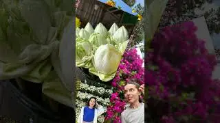Подробнее в комментарии 