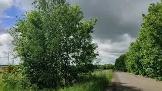 Козы 🐐 и тучи 🌧️