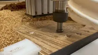 Zebrawood