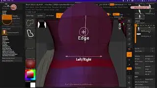 ZB_13.01 |  How to hide 2 types of polyloop using 2 different edges.
