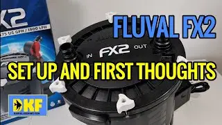 FLUVAL FX2 SET UP AND REVIEW