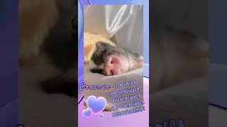 Просто улыбнись, воскресенье!