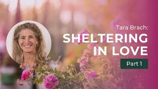 Cultivating Compassion and Connection: Tara Brach on Sheltering in Love (Part 1)