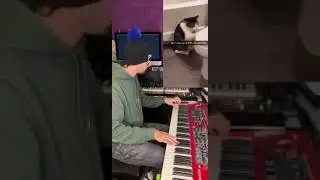 Дуэт года 