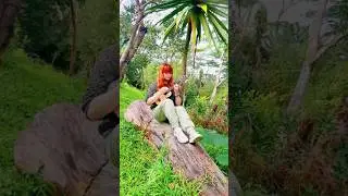 Best song to play in the jungle   