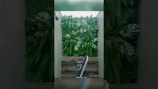 Вертикальное озеленение. Фитостена в санузле 
