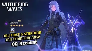 My 1st 5 star on Wuthering Waves and my current team!!