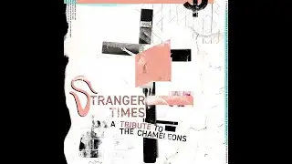 Bestial Mouths - Less Than Human de Stranger Times (A Tribute to The Chameleons)