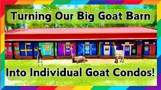 Building Luxury Goat Condos!!🐐🏡