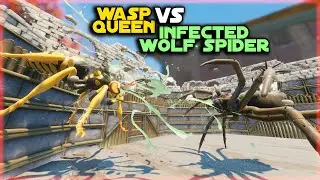 Wasp Queen Vs Infected Wolf Spider - Grounded 1.2.0