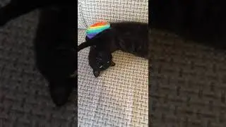Успокоился………!!!