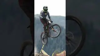 Steeziest DH team?