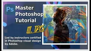 Master Photoshop Class 2024 AD