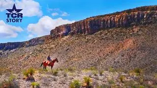 Hollywood Horses I Texas Country Reporter