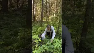 А вы больше любите ягоды или грибы собирать?)