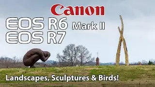 Canon R6 Mark II & R7 Landscapes, Sculptures & Birds